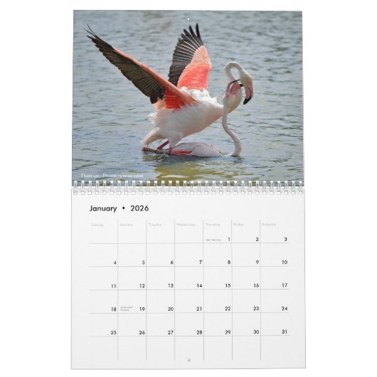 Kalender 2023 (Jan 2026)