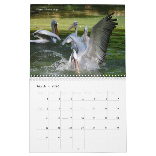 Kalender 2023 (Mär 2026)