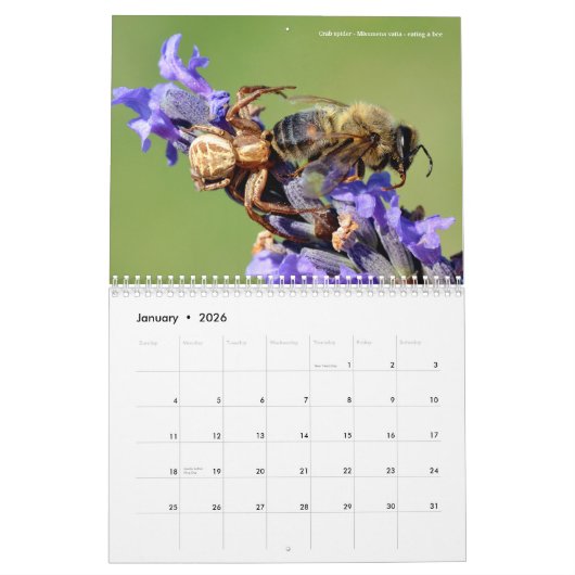 Kalender 2023 (Jan 2026)