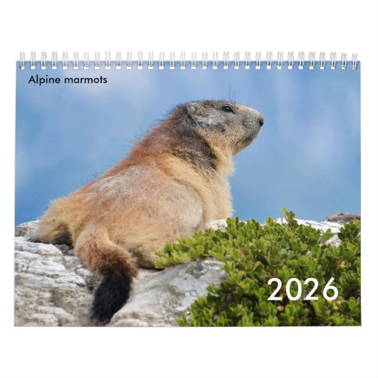 Kalender 2023 (Titelbild)