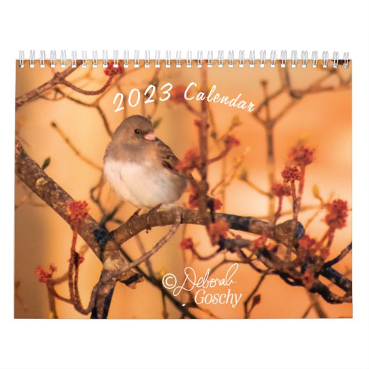 Kalender 2023 (Titelbild)