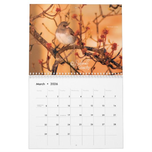 Kalender 2023 (Mär 2026)