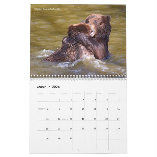 Kalender 2023 (Mär 2026)