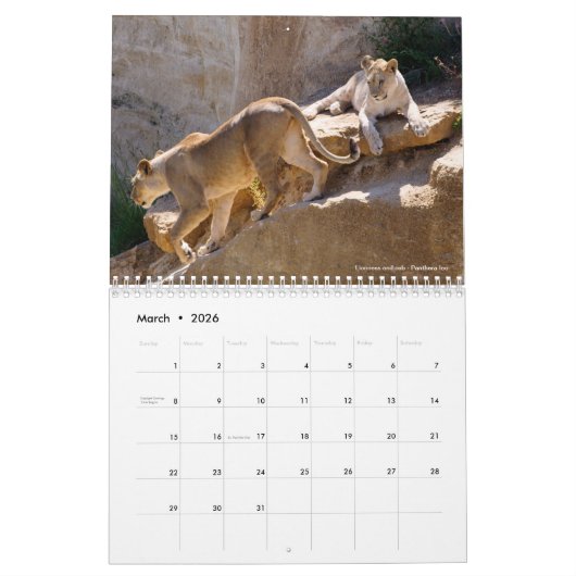 Kalender 2023 (Mär 2026)