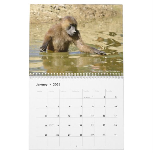 Kalender 2023 (Jan 2026)