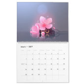 Kalender 2023 Alles über Katzen! (Mär 2027)