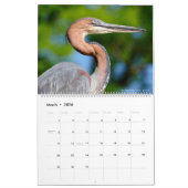 Kalender 2023 der Fotos verschiedener Vogelarten (Mär 2026)