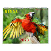 Kalender 2023 der Fotos verschiedener Vogelarten (Titelbild)