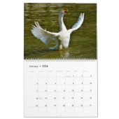 Kalender 2023 der Fotos verschiedener Vogelarten (Jan 2026)