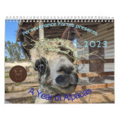 Kalender 2023 - Ein Jahr der Alpakas (Titelbild)