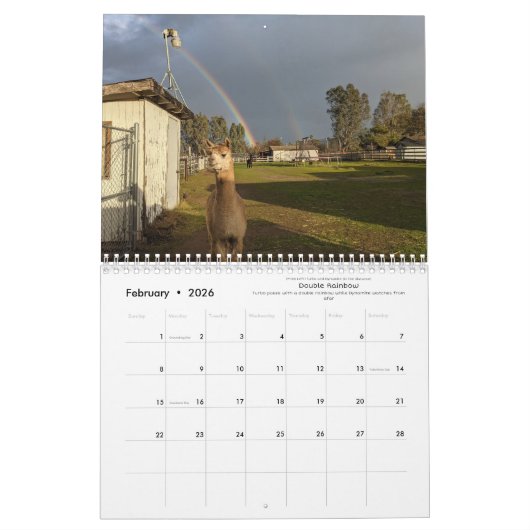 Kalender 2023 - Ein Jahr der Alpakas (Feb 2026)
