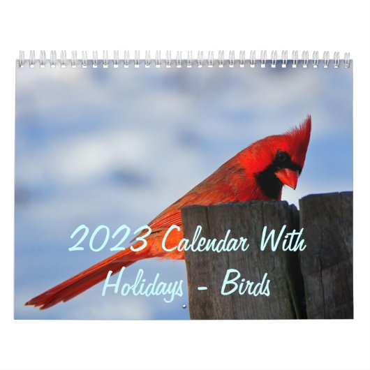 Kalender 2023 - Feiertage - Vögel (Titelbild)