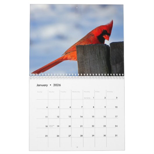 Kalender 2023 - Feiertage - Vögel (Jan 2026)