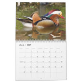 Kalender 2023 - Feiertage - Vögel (Mär 2027)
