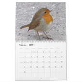 Kalender 2023 - Feiertage - Vögel (Feb 2027)