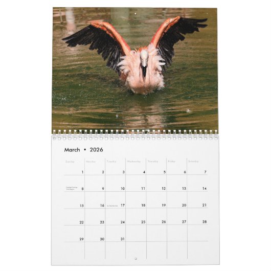 Kalender 2023 Flamingos (Mär 2026)
