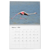 Kalender 2023 Flamingos (Feb 2026)