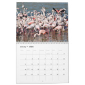 Kalender 2023 Flamingos (Jan 2026)