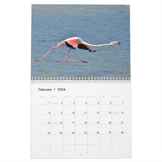 Kalender 2023 Flamingos (Feb 2026)