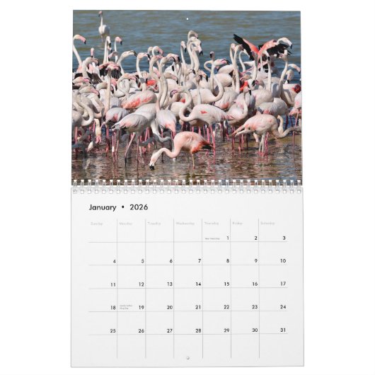 Kalender 2023 Flamingos (Jan 2026)