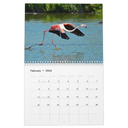 Kalender 2023 Flamingos (Feb 2026)