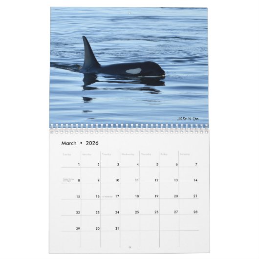 Kalender 2023 für den südlichen Killerwal (Mär 2026)