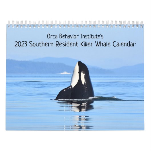 Kalender 2023 für den südlichen Killerwal (Titelbild)