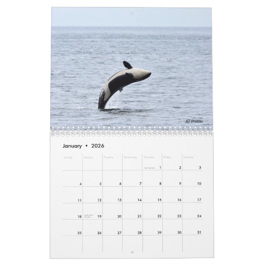 Kalender 2023 für den südlichen Killerwal (Jan 2026)