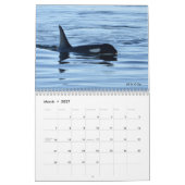 Kalender 2023 für den südlichen Killerwal (Mär 2027)