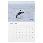 Kalender 2023 für den südlichen Killerwal (Jan 2027)