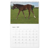 Kalender 2023 für Mares und Foals (Mär 2027)