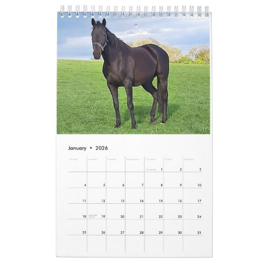 Kalender 2023 für Mares und Foals (Jan 2026)