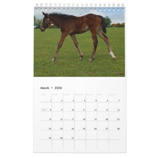 Kalender 2023 für Mares und Foals (Mär 2026)