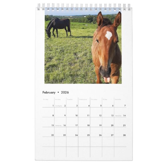 Kalender 2023 für Mares und Foals (Feb 2026)