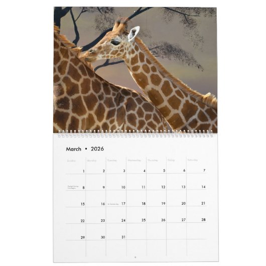 Kalender 2023 Giraffen (Mär 2026)