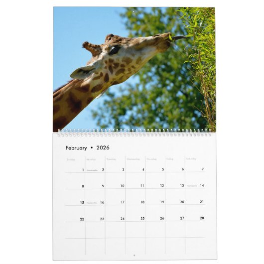 Kalender 2023 Giraffen (Feb 2026)