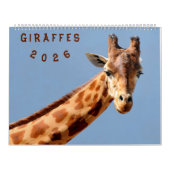 Kalender 2023 Giraffen (Titelbild)