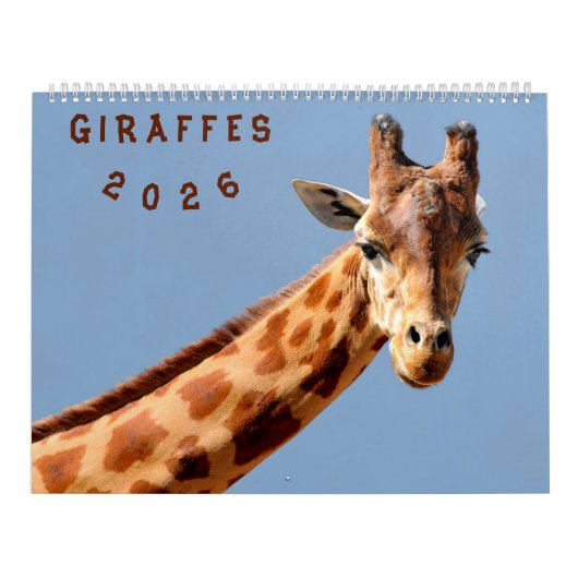 Kalender 2023 Giraffen (Titelbild)