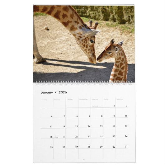 Kalender 2023 Giraffen (Jan 2026)