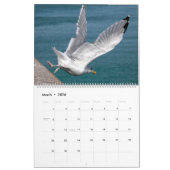 Kalender 2023 Schluchten und Möwen (Mär 2026)