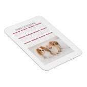 Kalender 2023 Süßhunde Magnet (Rechte Seite)