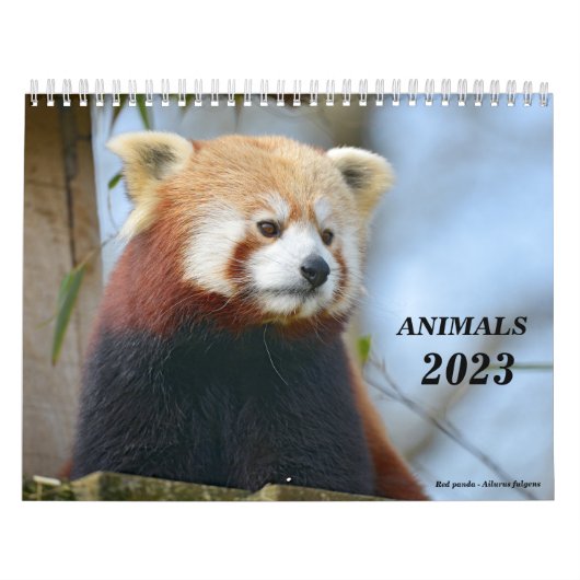 Kalender 2023 Tiere (Titelbild)