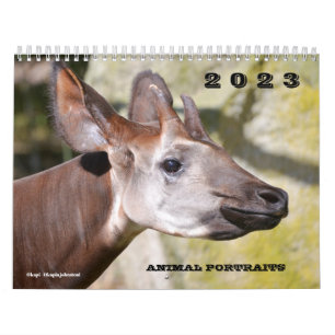 Kalender 2023 Tierportraits