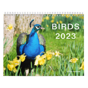 Kalender 2023 verschiedener Vögel