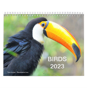Kalender 2023 verschiedener Vögel