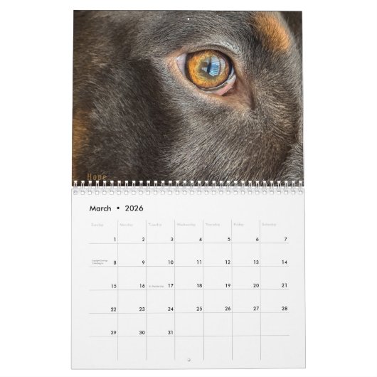 Kalender 2024 (Mär 2026)