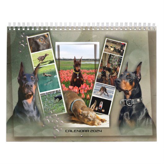 Kalender 2024 (Titelbild)