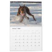 Kalender 2024 (Jan 2027)