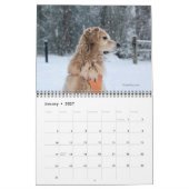 Kalender 2024 - Das Beste von Reser (Jan 2027)