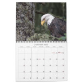 Kalender 2024 endgültig (Jan 2027)